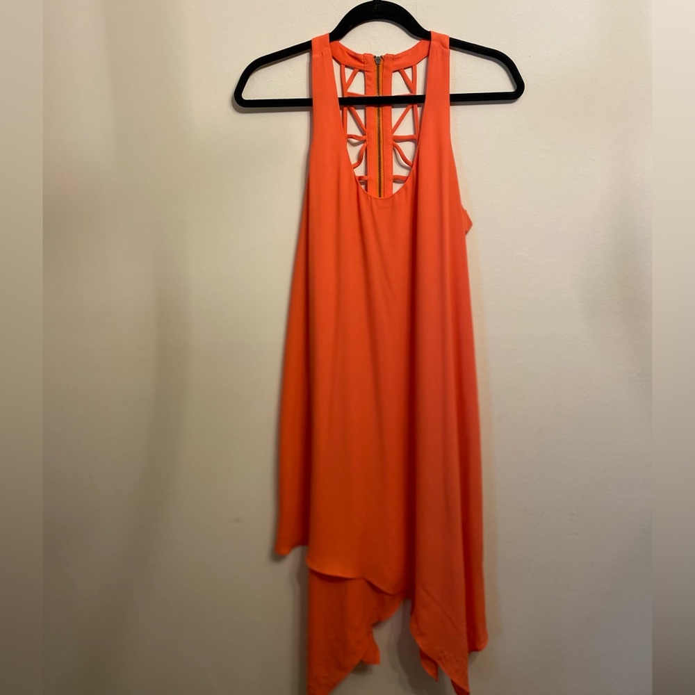 Orange Max and Cleo Dress